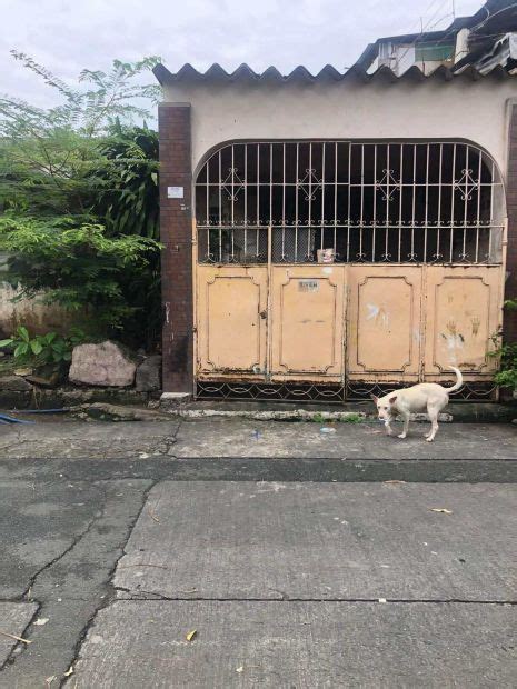 House and Lot for Sale at Everlasting St., De Castro Subdivision, .